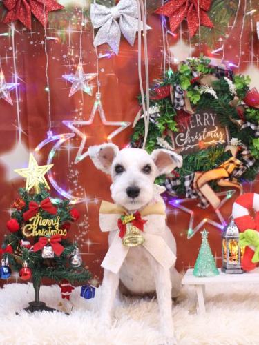 20231203クランちゃん 